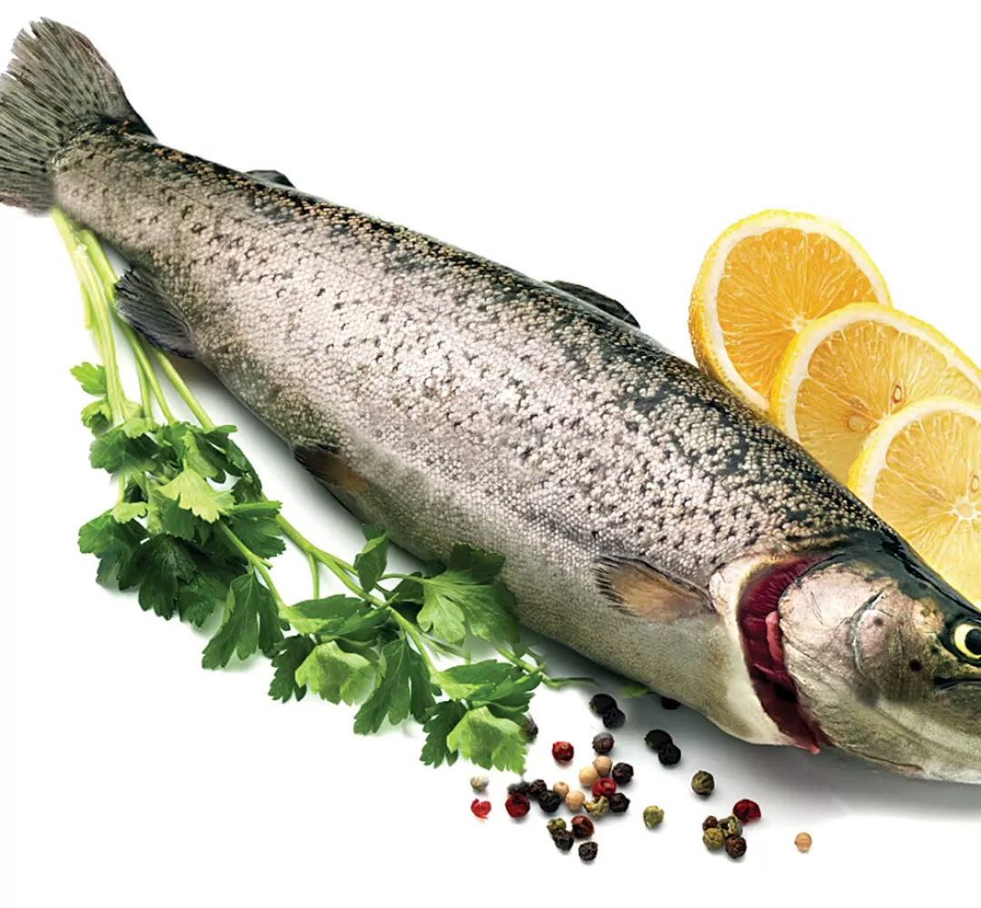 مصرف ماهی سمنانی‌ها نصف کشور است