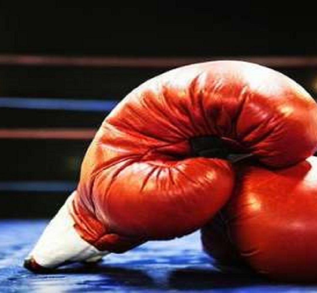 بوکسورهای دامغانی و شاهرودی خانه‌دار می‌شوند