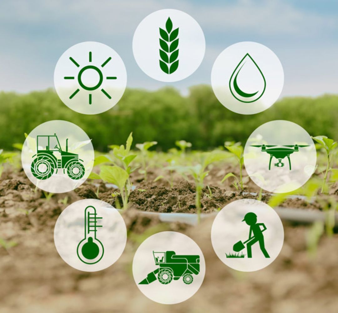 فناوری‌های نوین تولید در مزارع سمنان توسعه می‌یابد