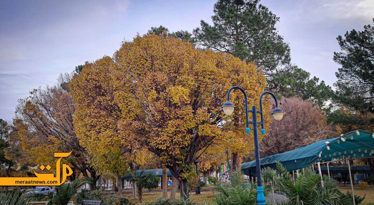 صبح سرد سرخه؛ سکوتی آرام در کویر