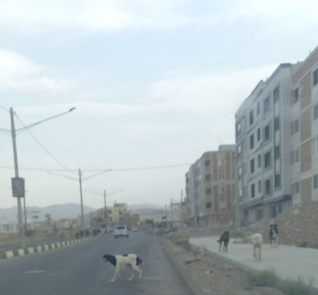 اهالی شهرک کوهسار به دادستان پناه بردند
