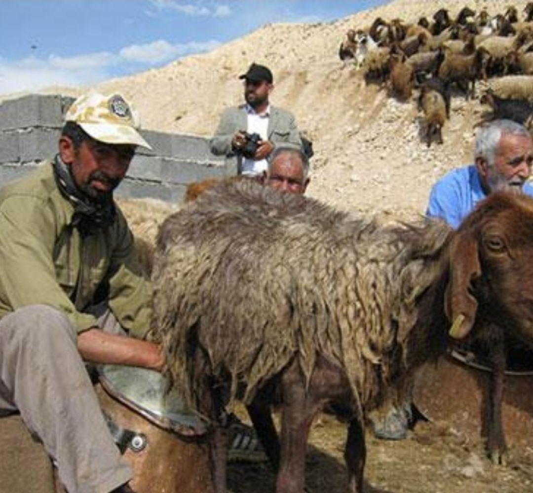 ماندن در روستا؛ مسئله‌ای فراتر از زیرساخت
