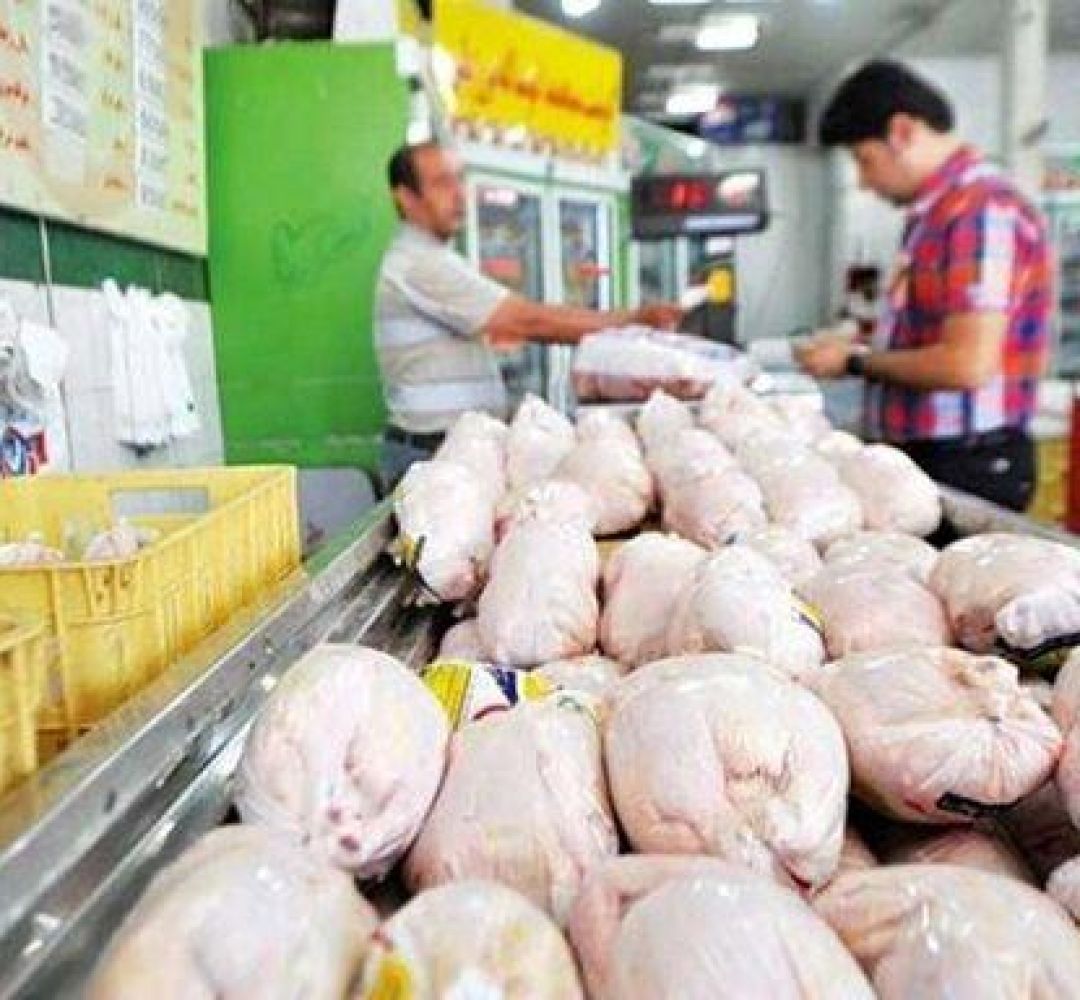 بازار مرغ سمنان در رکود؛ عرضه هست،تقاضا نیست