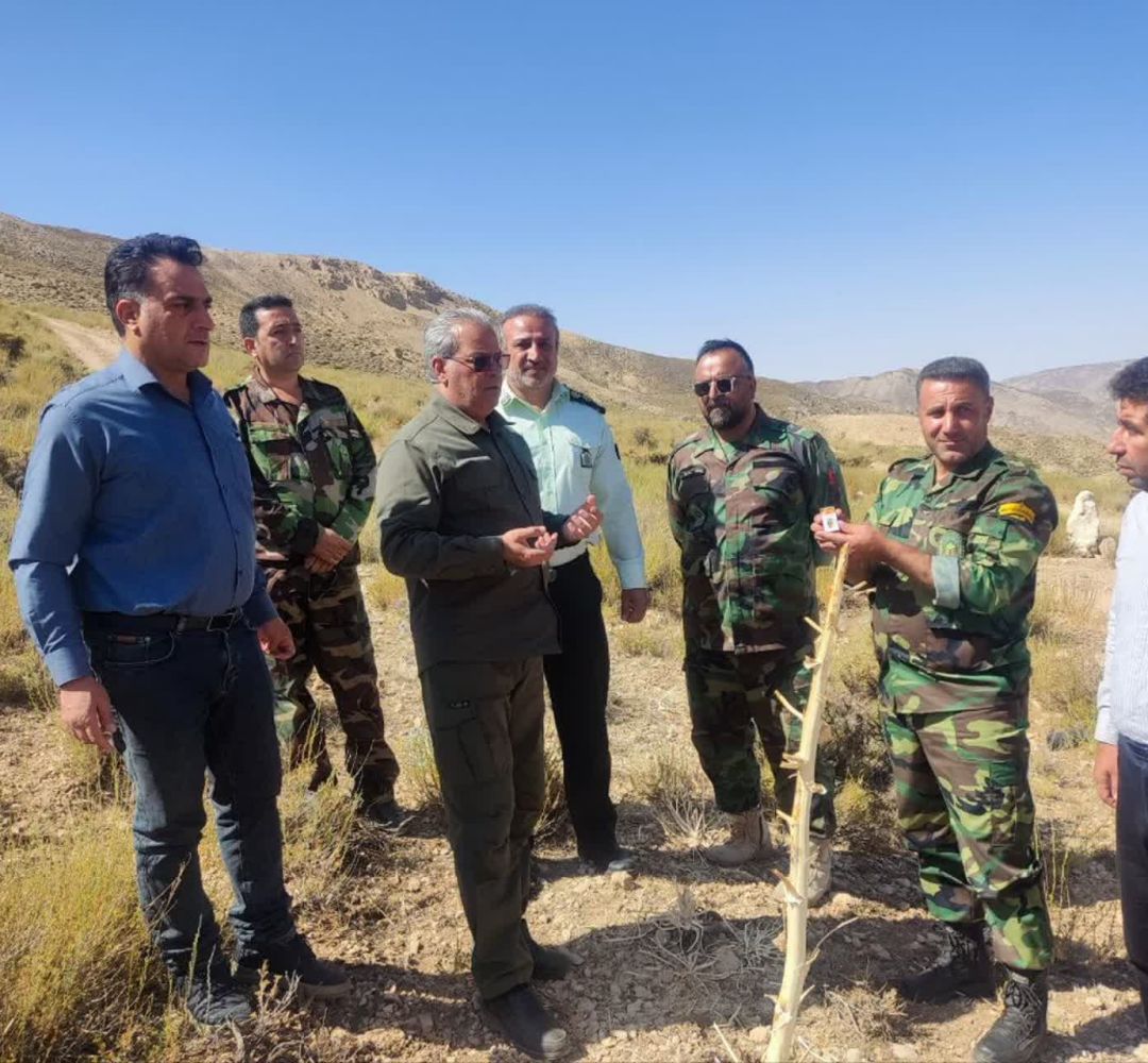 باریجه؛ ثروت پنهان مراتع سمنان