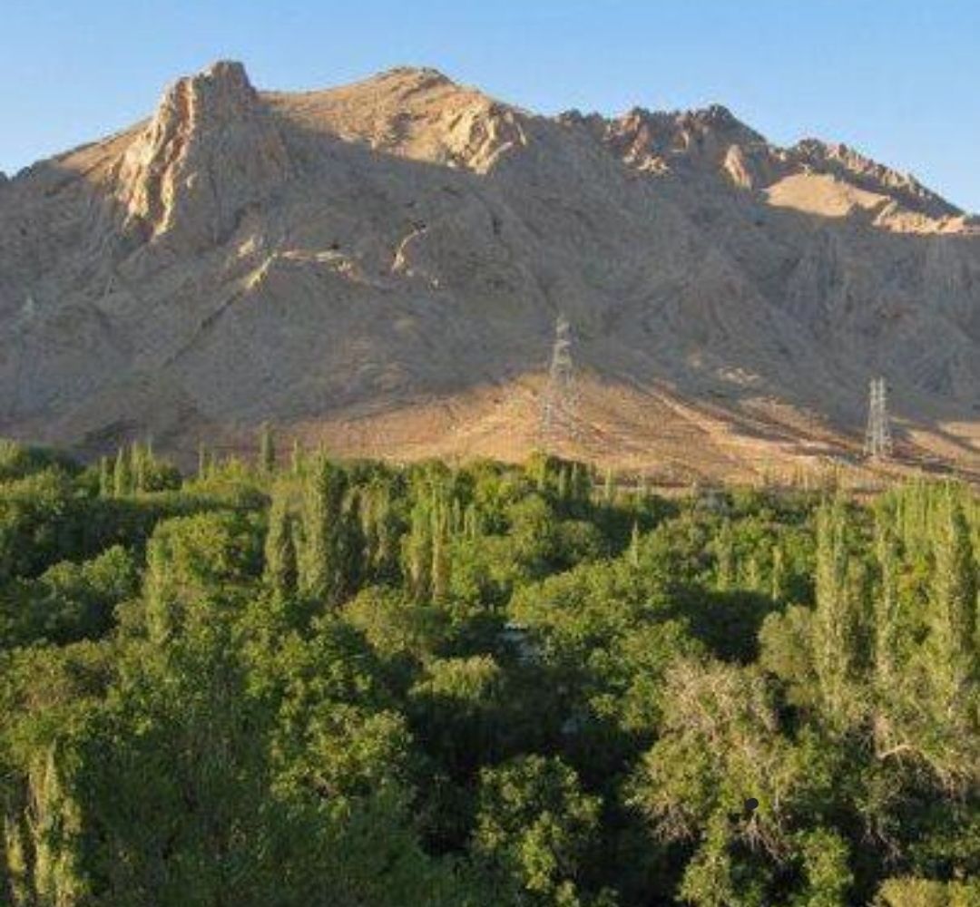 آخرین نفس باغ‌های شهمیرزاد