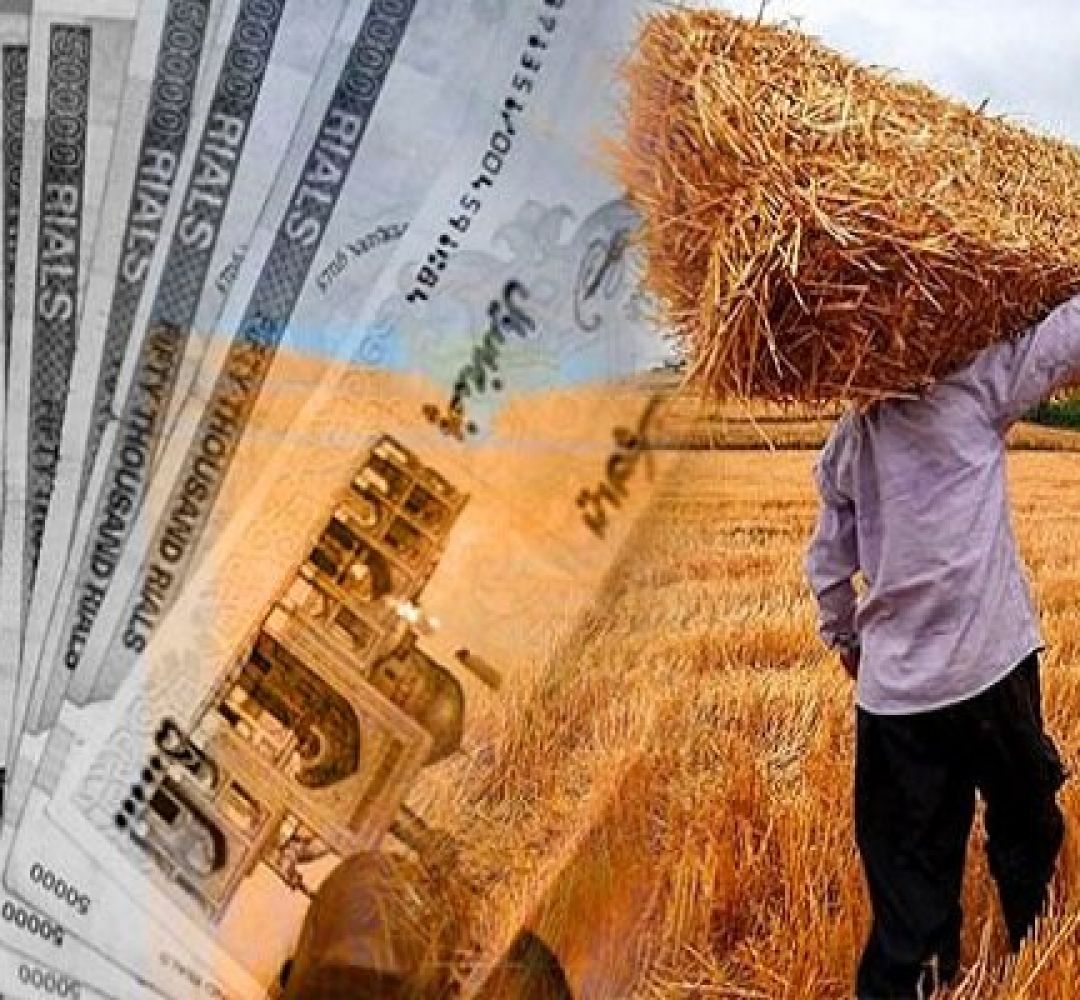 پرداخت نیمی از مطالبات گندم‌کاران استان سمنان